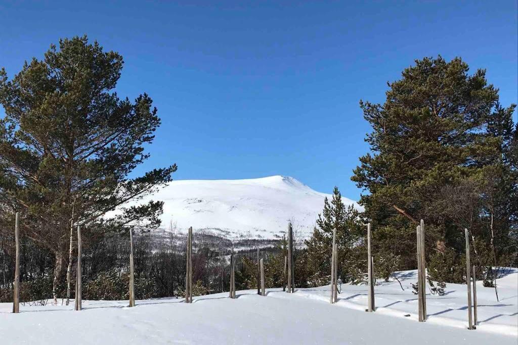 Fjellro Mountain Cabin Oppdal Luaran gambar
